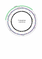 Genome Sequence P...