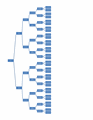 6 Generation Genealogy...