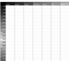 The Scheduler In Grey