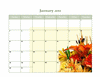 Fancy Green 2011 Calendar
