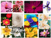 2011 Flower Calendar