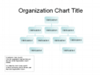Organizational Chart (basic Layout)
